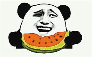 吃瓜群众种瓜,见证瓜农的辛勤与收获