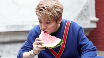 吃瓜群众鹿晗,瓜田里的青春偶像