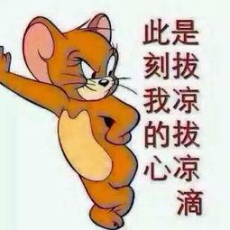 广州吃瓜群众图片,一图览尽人间百态