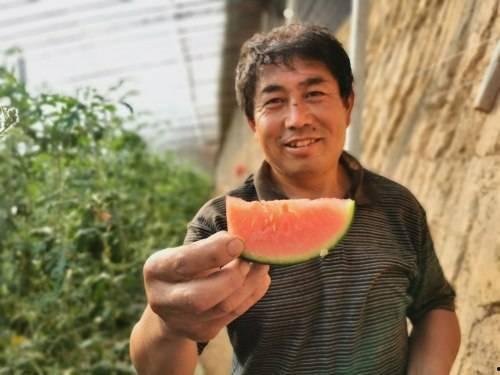 陈三两吃瓜群众,吃瓜群众的视角解读